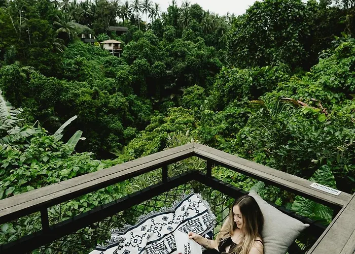 Magical Jungle